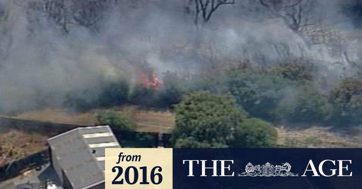 Fire investigators examining how a bushfire ignited near houses at